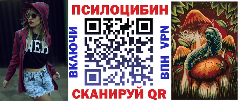 Псилоцибиновые грибы Cubensis  Салехард 