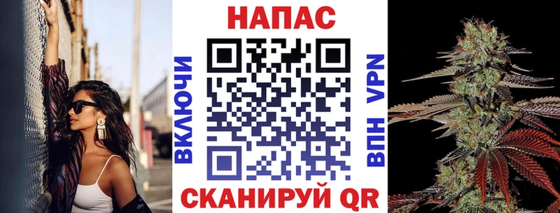 Бошки Шишки гибрид Салехард